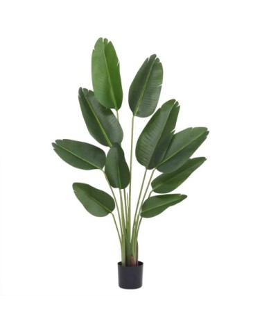 Plante artificielle oiseau du paradis toucher naturel 160cm
