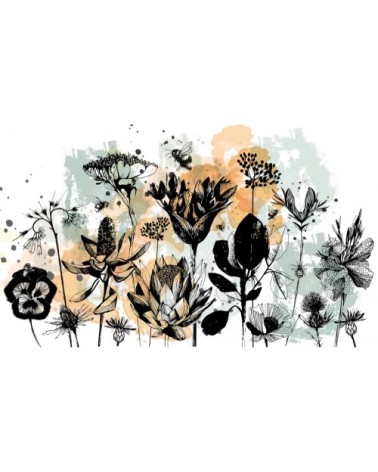 Papier peint panoramique fleurs des champs 425 x 250  couleurs