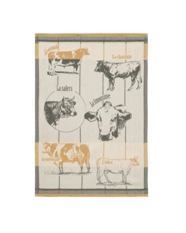 Torchon en coton orange 50x75