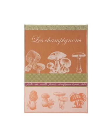 Torchon en jacquard de coton orange 50x75