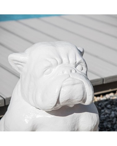 Statue chien bouledogue blanc H40cm