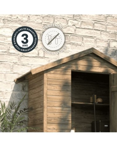 Armoire de jardin bois leo - 1,05 m²