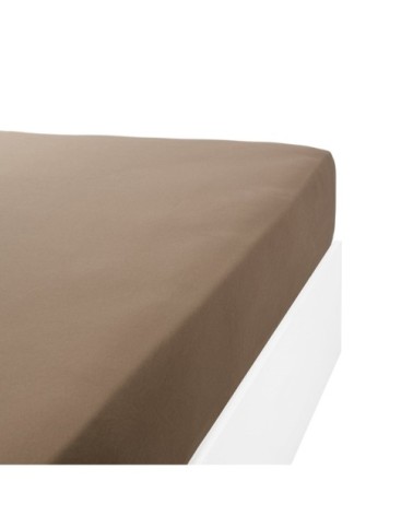 Drap housse jersey extensible lit double en coton taupe 80x200 cm