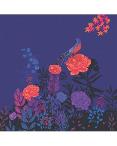 Papier-peint faisan nocturne   couleurs