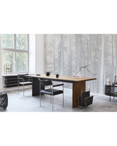 Papier peint panoramique la forêt enchantée 425 x 250  gris