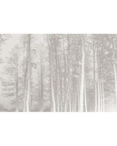 Papier peint panoramique la forêt enchantée 255 x 250  brun