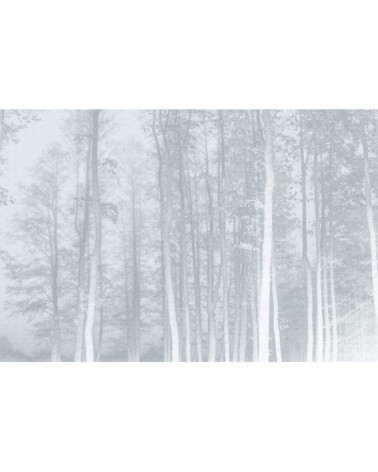 Papier peint panoramique la forêt enchantée 425 x 250  bleu