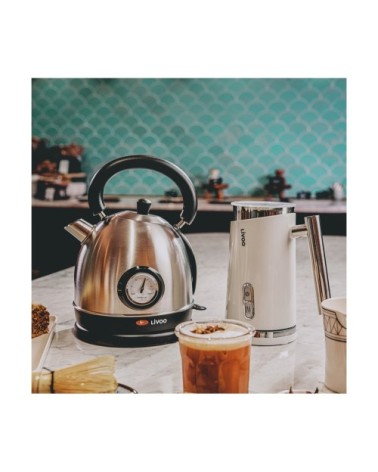 Mousseur à lait en acier inoxydable blanc