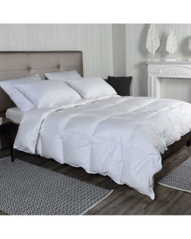 Couette naturelle TEMPEREE 50% duvet 200x200 cm