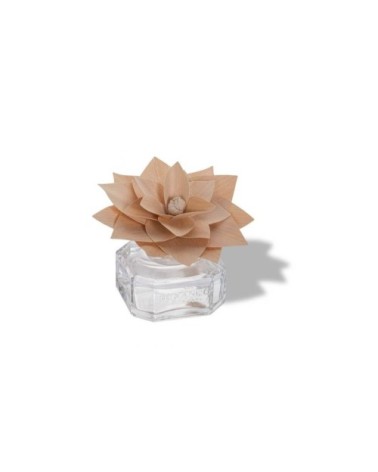 Fleur parfumée fleur de coton