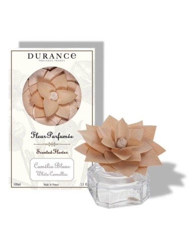 Fleur parfumée camélia blanc