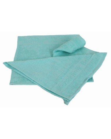 Lot de 3 serviettes invités éponge en coton vert clair