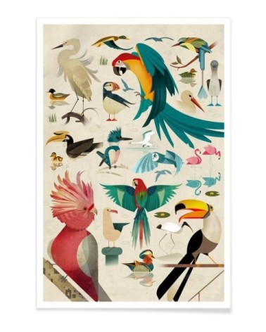 Affiche multicolore 30x45