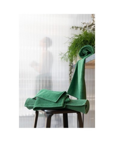 Serviette de toilette  en coton épicéa 50 x 100