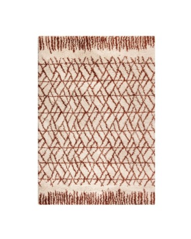 Tapis  en polypropylene tomette 160 x 230