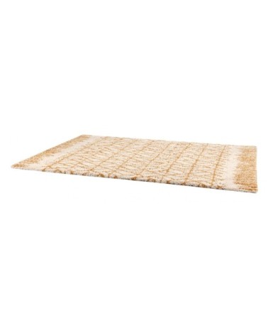 Tapis  en polypropylene curry 120 x 170