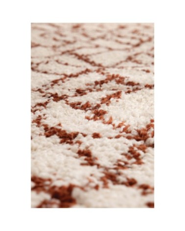 Tapis  en polypropylene tomette 200 x 290