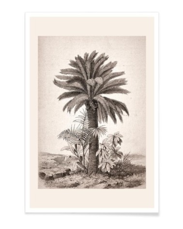 Affiche blanc ivoire & gris 40x60