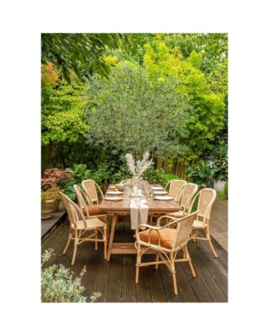 Table de jardin en teck 6 personnes L250 marron