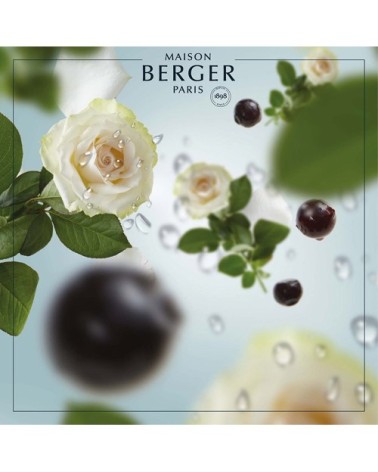 Bouquet Parfumé Cube - Parfum Vent d'Océan