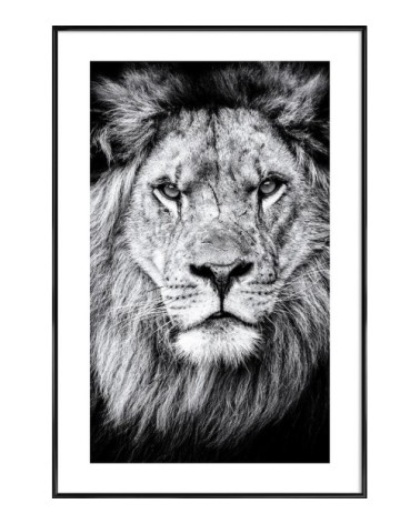 Affiche dans cadre standard (noir) blanc & noir 30x45