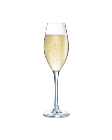 Flûte à champagne 24cl - Lot de 6