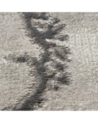 Tapis salon gris 200x290