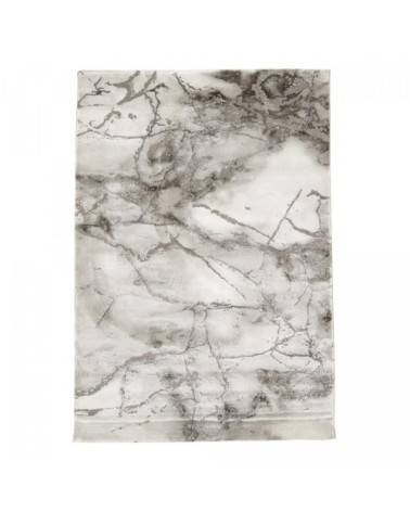 Tapis salon gris 160x230