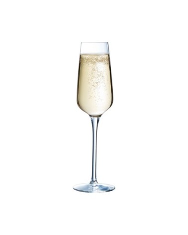 Flûte à champagne 21cl - Lot de 6