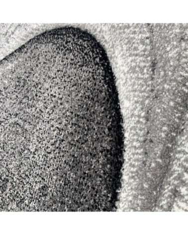 Tapis salon gris 120x170