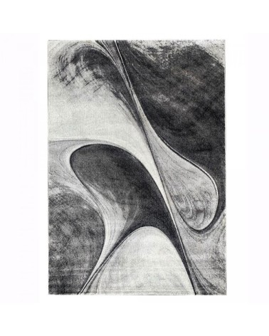 Tapis salon gris 200x290