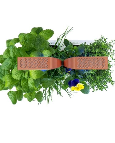 Potager d'intérieur Véritable smart copper