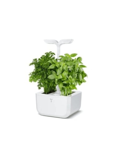 Potager d'intérieur Exky® classic