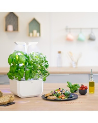 Potager d'intérieur Exky® classic