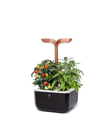 Potager d'intérieur Exky® smart copper