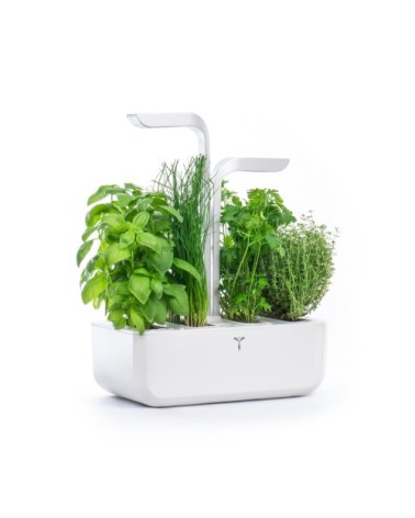 Potager d'intérieur Véritable® classic