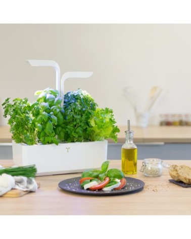 Potager d'intérieur Véritable® classic