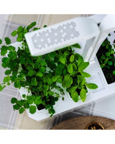 Potager d'intérieur Véritable® classic