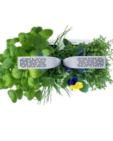 Potager d'intérieur Véritable® smart arctic white
