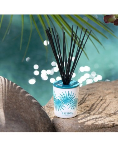 Bouquet parfumé déco 100ml