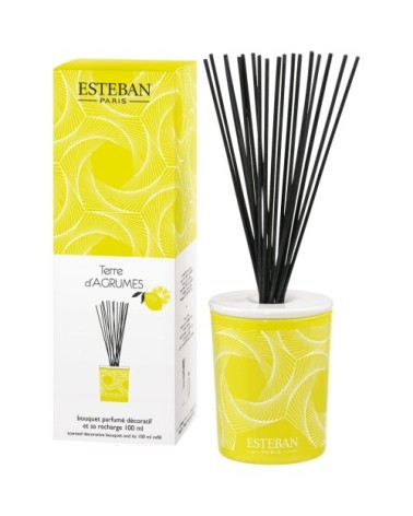 Bouquet parfumé déco 100ml