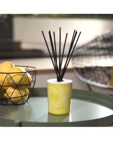 Bouquet parfumé déco 100ml