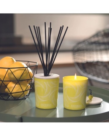 Bouquet parfumé déco 100ml