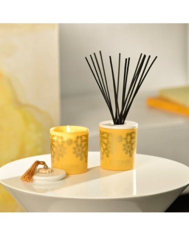 Bouquet parfumé déco 100ml