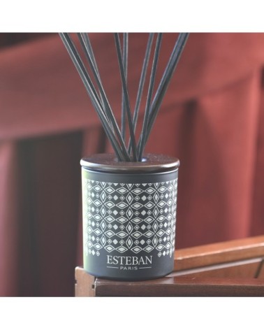 Bouquet parfumé déco 100ml