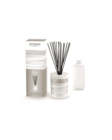 Bouquet parfumé déco 100ml