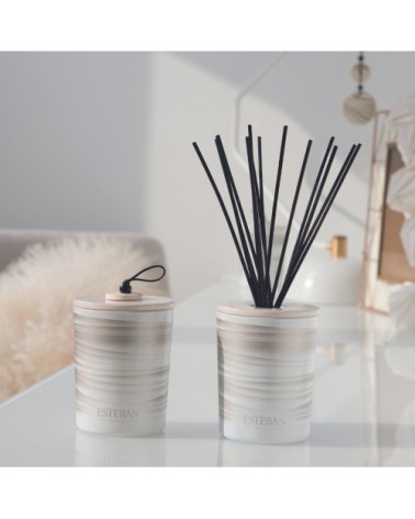 Bouquet parfumé déco 100ml