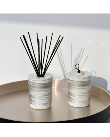 Bouquet parfumé déco 100ml