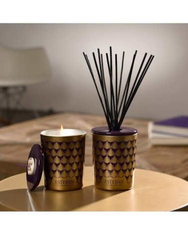 Bouquet parfumé déco 100ml