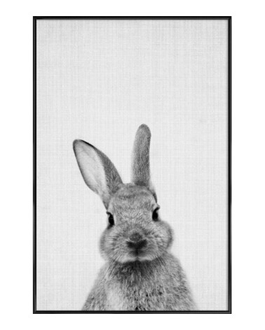 Affiche dans cadre standard (noir) blanc & noir 30x45